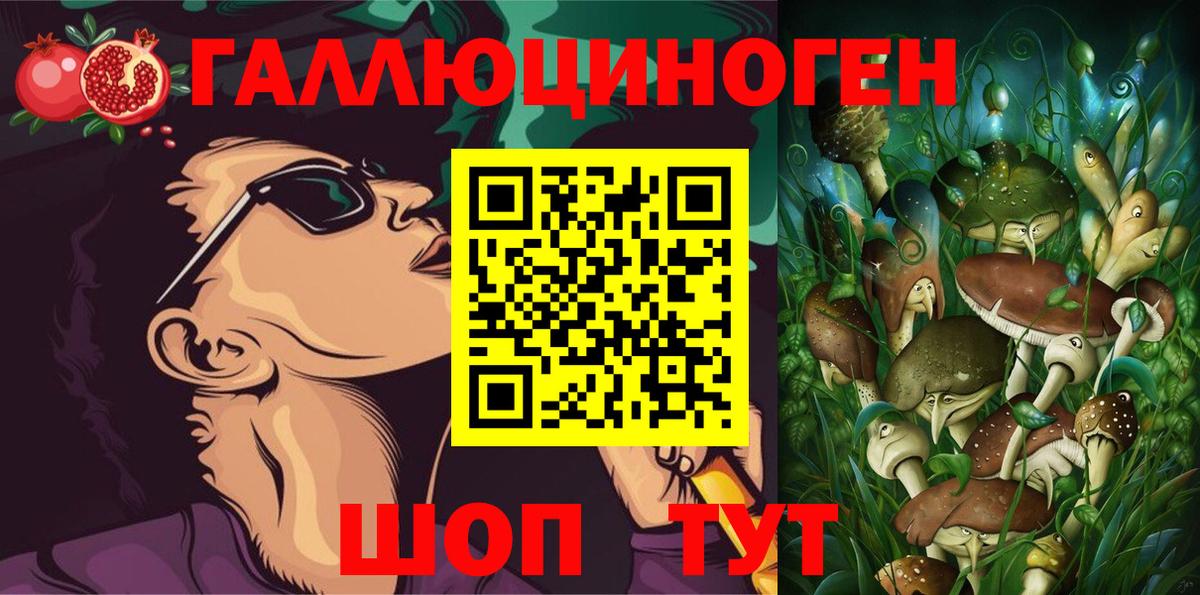 Галлюциногенные грибы GOLDEN TEACHER  Вход с VPN  что такое наркотик  Новотроицк 