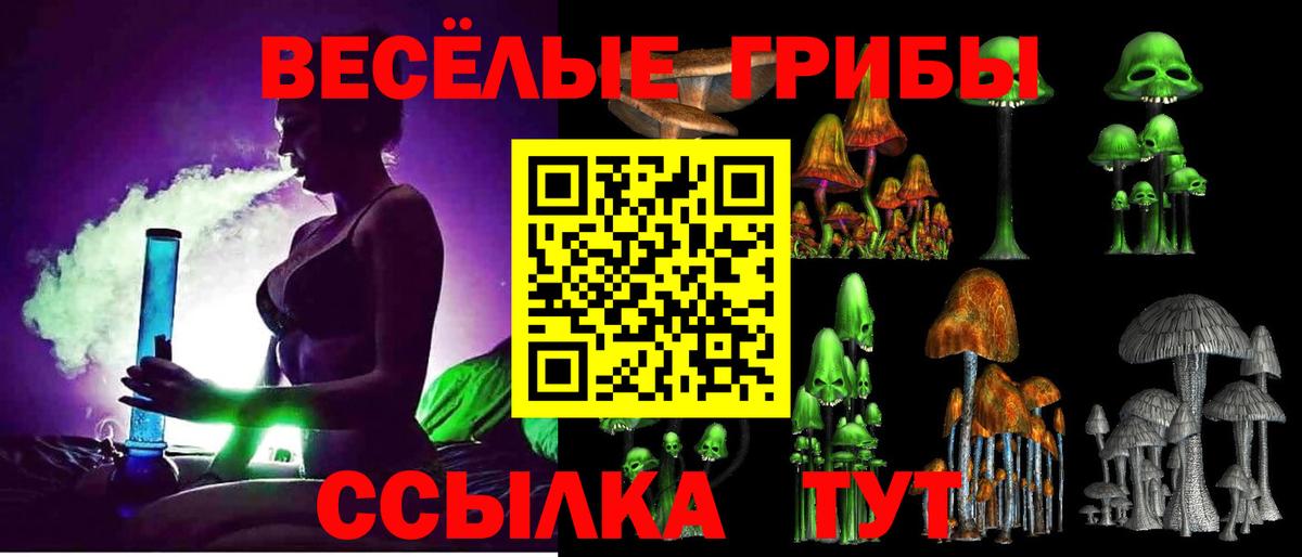 Галлюциногенные грибы MAGIC MUSHROOMS Новотроицк